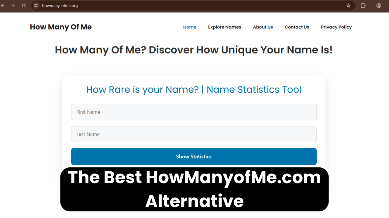 The Best HowManyofMe.com Alternative